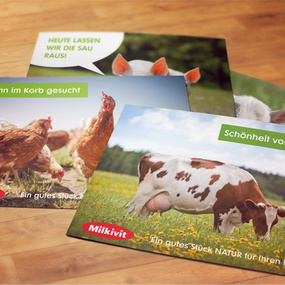 Throw Nutrition Motiv-Postkarten